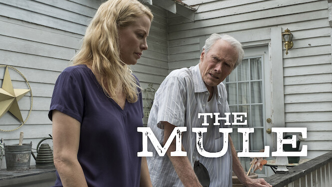 The Mule